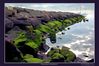 Copyright-NeilGriffin-DSC_1783-www.jpg