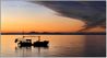 Copyright-NeilGriffin_CalmUnderTheStorm-www.jpg