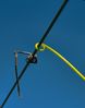 Copyright_2005_NeilGriffin_DSC_9007.jpg