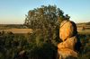 NeilGriffin_DSC_2252.jpg